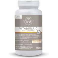 VITAMINA C FAST-RETARD 90 COMPR MASTICABLES