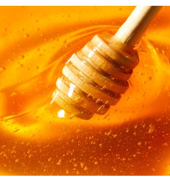 NUXE REVE DE MIEL TRATAMIENTO LABIAL CON MIEL 10ML