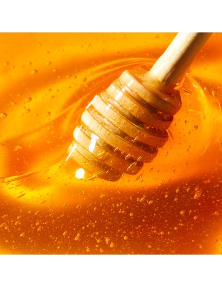 NUXE REVE DE MIEL TRATAMIENTO LABIAL CON MIEL 10ML